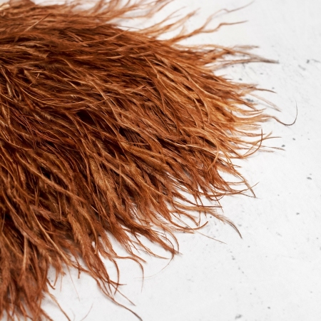 TAŚMA OZDOBNA PIÓRA JASNY BRĄZ