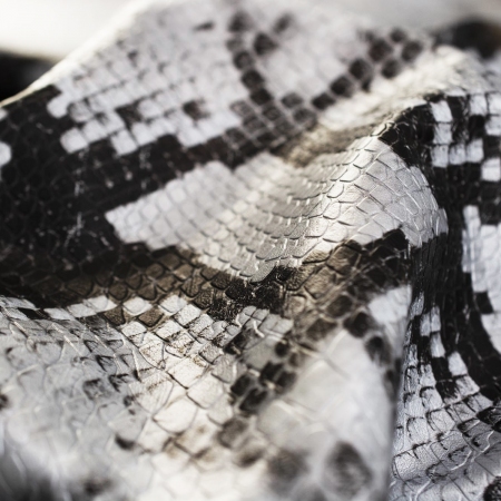 SKÓRA SILVER SNAKE SKIN